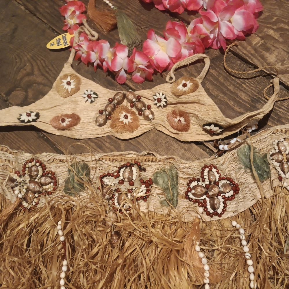 Hawaiian Grass Skirt and Floral Top Set + Lei NWOT